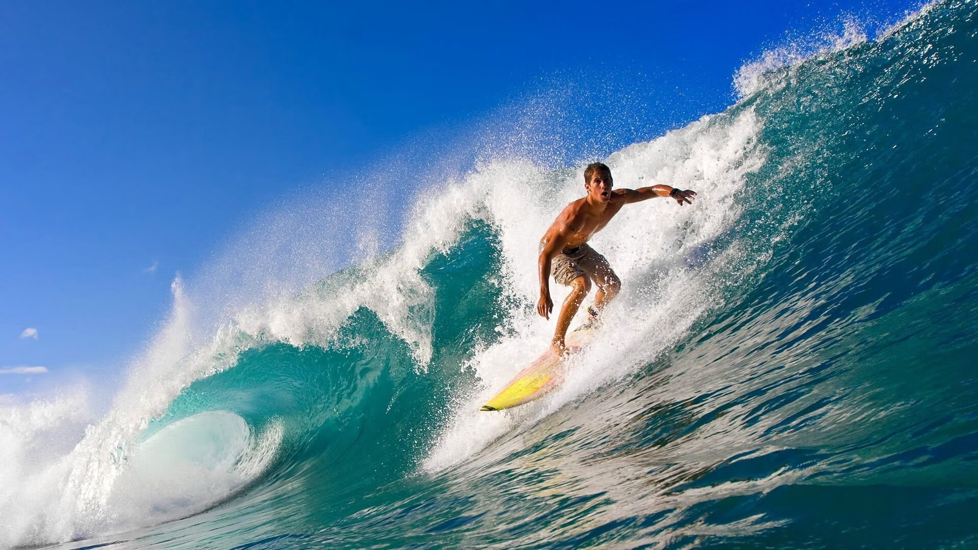 双王记，篮球世界的两场君临